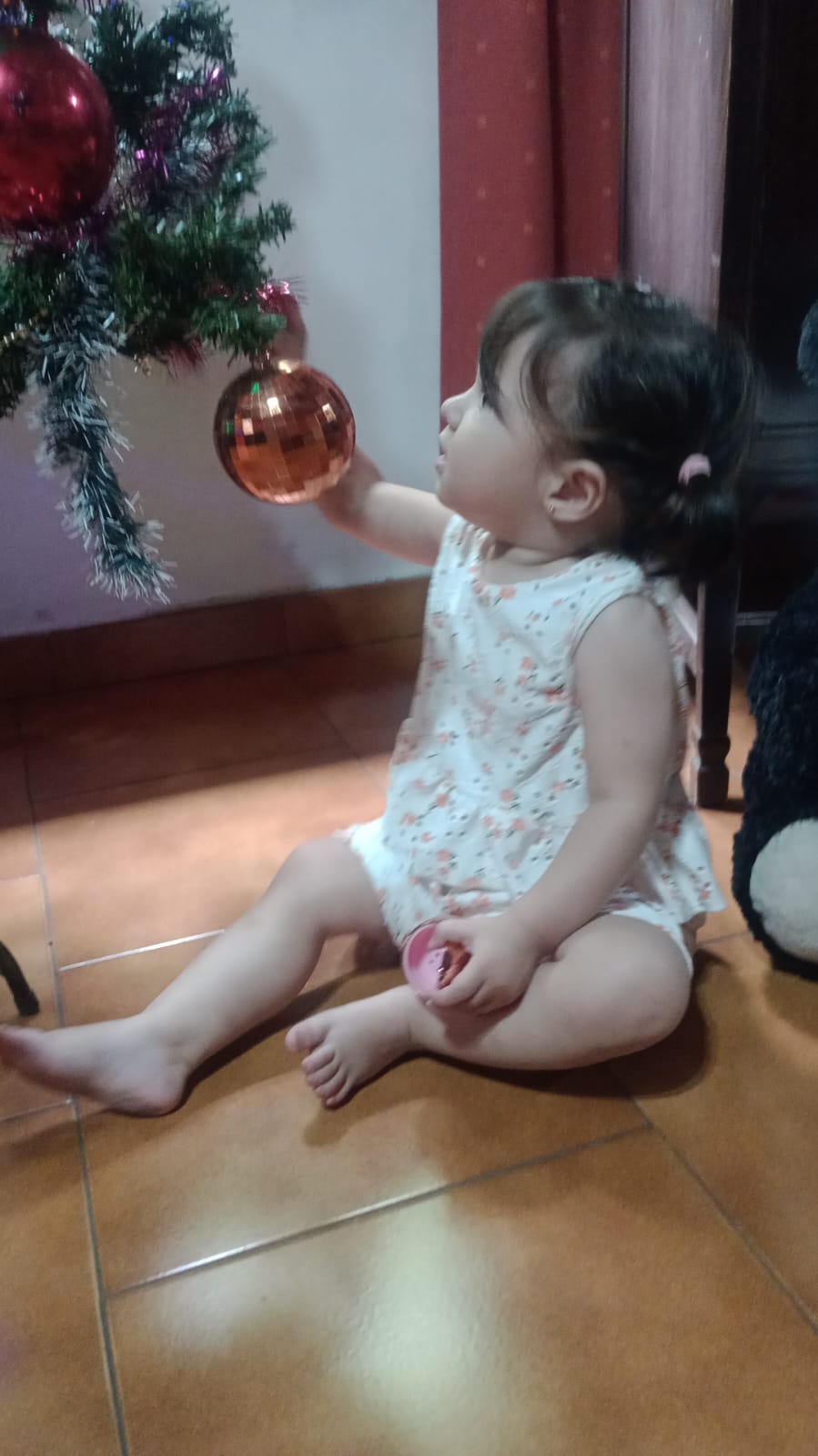 WhatsApp Image 2026-01-01 at 3.57.15 PM1.jpeg